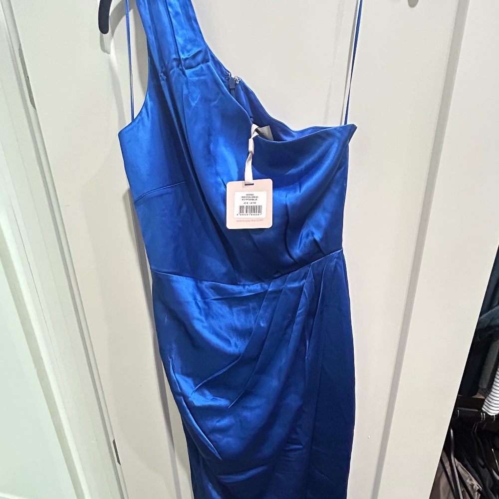 Never worn Sau Lee Preston Dress